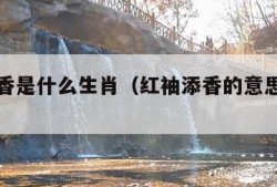 红袖添香是什么生肖（红袖添香的意思是什么）