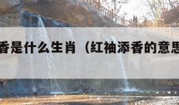 红袖添香是什么生肖（红袖添香的意思是什么）