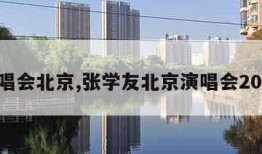 演唱会北京,张学友北京演唱会2024