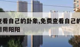 免费查看自己的卦象,免费查看自己的卦象,阴阳阴阴阳阳
