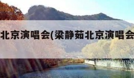 梁静茹北京演唱会(梁静茹北京演唱会现场版大人)