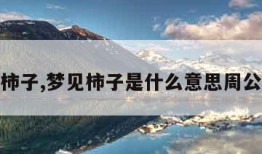 梦见柿子,梦见柿子是什么意思周公解梦
