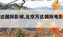 北京万达国际影城,北京万达国际电影城有限公司