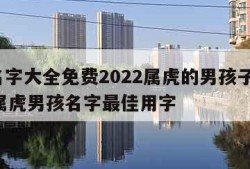 取名字大全免费2022属虎的男孩子,2022属虎男孩名字最佳用字