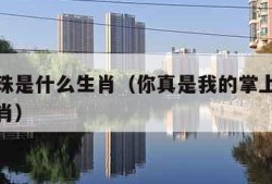 掌上明珠是什么生肖（你真是我的掌上明珠是什么生肖）