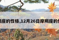 摩羯座的性格,12月26日摩羯座的性格