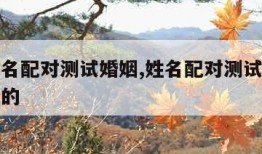 免费姓名配对测试婚姻,姓名配对测试婚姻缘最准确的