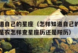 怎样知道自己的星座（怎样知道自己的星座是啥星座是农怎样查星座历还是阳历）