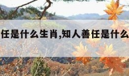 知人善任是什么生肖,知人善任是什么生肖动物
