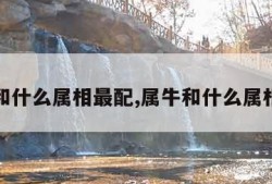 属牛和什么属相最配,属牛和什么属相相冲