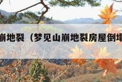 梦见山崩地裂（梦见山崩地裂房屋倒塌满天异象）