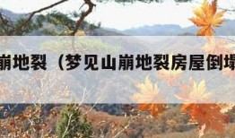 梦见山崩地裂（梦见山崩地裂房屋倒塌满天异象）