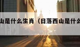 日落西山是什么生肖（日落西山是什么生肖答案）