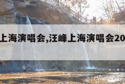 汪峰上海演唱会,汪峰上海演唱会2023上座率