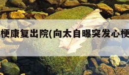 向太心梗康复出院(向太自曝突发心梗进急救室)