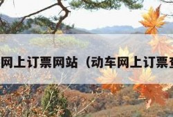 动车网上订票网站（动车网上订票查询）