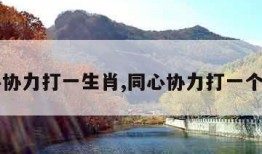 同心协力打一生肖,同心协力打一个生肖