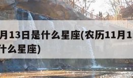 11月13日是什么星座(农历11月13日是什么星座)