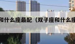 双鱼座和什么座最配（双子座和什么座最配对）