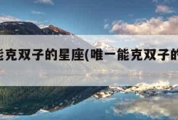 唯一能克双子的星座(唯一能克双子的星座 豆瓣)