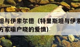 特里斯坦与伊索尔德（特里斯坦与伊索尔德是一部西方家喻户晓的爱情）