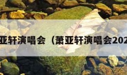 萧亚轩演唱会（萧亚轩演唱会2024）