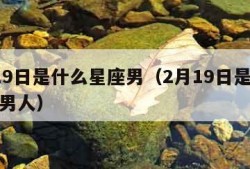 2月19日是什么星座男（2月19日是什么星座男人）