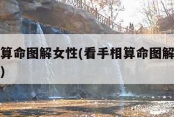 看手相算命图解女性(看手相算命图解女性右手免费)