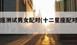 十二星座测试男女配对(十二星座配对免费测试)
