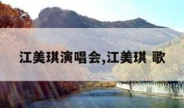 江美琪演唱会,江美琪 歌