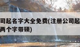 注册公司起名字大全免费(注册公司起名字大全免费两个字带硕)