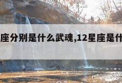 12星座分别是什么武魂,12星座是什么武魂?