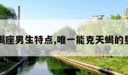 天蝎座男生特点,唯一能克天蝎的星座