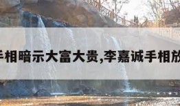 7种手相暗示大富大贵,李嘉诚手相放大图
