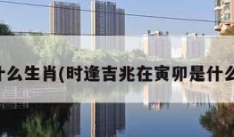 卯是什么生肖(时逢吉兆在寅卯是什么生肖)