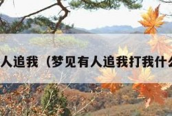 梦见有人追我（梦见有人追我打我什么预兆）