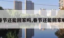 春节还能回家吗,春节还能回家嘛