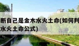 如何判断自己是金木水火土命(如何判断自己是金木水火土命公式)