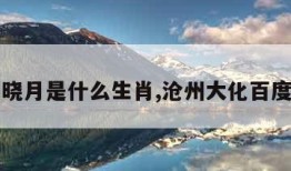 明湖晓月是什么生肖,沧州大化百度百科