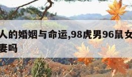 属虎人的婚姻与命运,98虎男96鼠女适合做夫妻吗