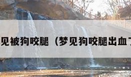 梦见被狗咬腿（梦见狗咬腿出血了）