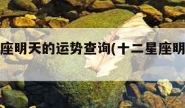 十二星座明天的运势查询(十二星座明日运势情况)