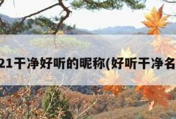 2021干净好听的昵称(好听干净名字)