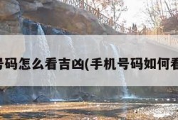 手机号码怎么看吉凶(手机号码如何看吉凶)