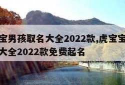 虎宝宝男孩取名大全2022款,虎宝宝男孩取名大全2022款免费起名