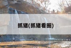 抓猪(抓猪看圈)