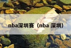 nba深圳赛（nba 深圳）