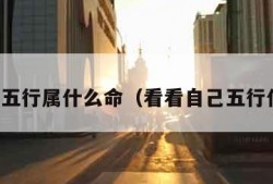 算自己五行属什么命（看看自己五行什么命）