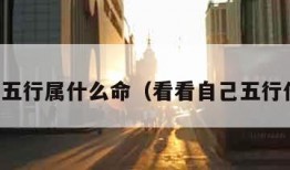 算自己五行属什么命（看看自己五行什么命）