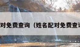 姓名配对免费查询（姓名配对免费查询三藏）